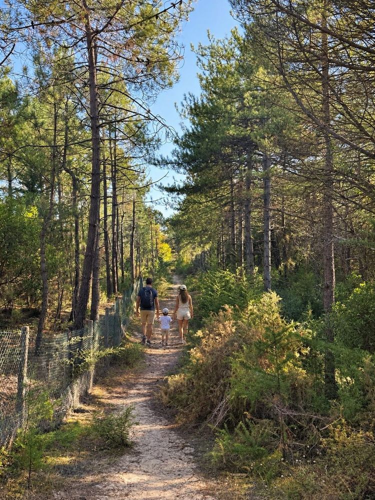 Balade en famille dans la forêt domaniale de Saint-Hilaire-de-Riez
