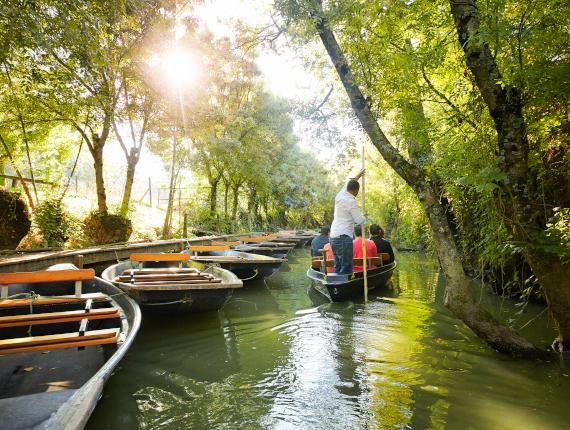 Promenade en barque sur les canaux du Marais poitevin, la Venise Verte