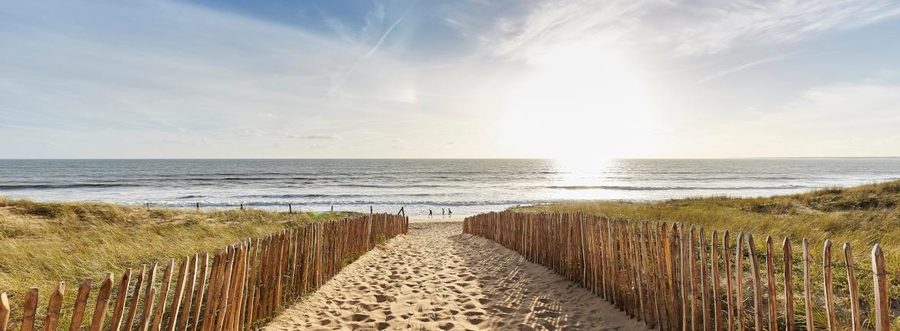 Accès à une plage de sable fin entre les dunes sur la côte vendéenne