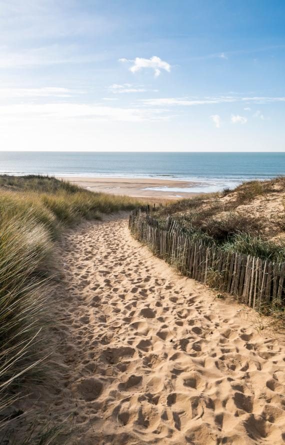 Sentier dans les dunes menant à l'une des plus belles plages de Vendée