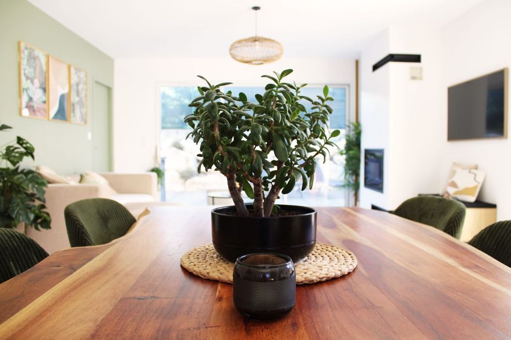 Table à manger avec plante et vue sur le salon