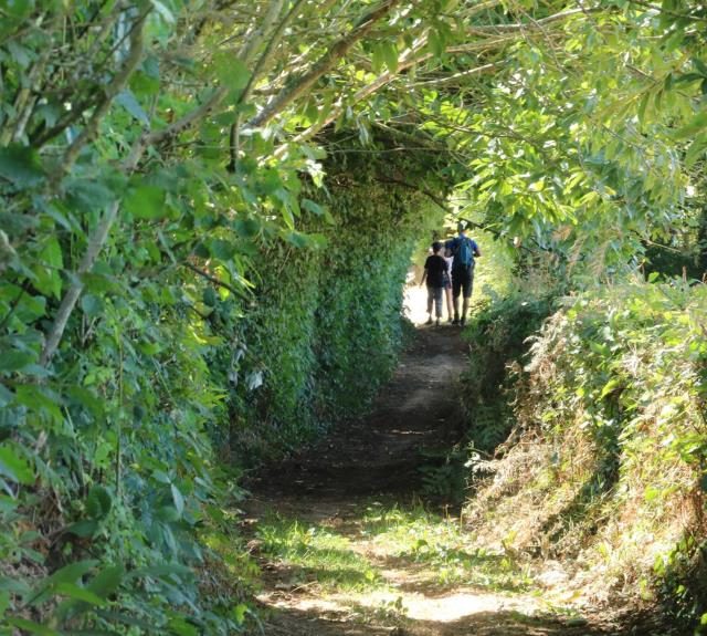Randonneurs sur un chemin creux sous la végétation en Vendée